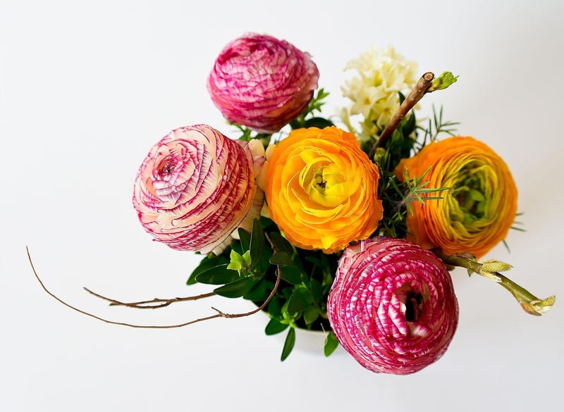 Pixie-inspired Plant Arrangements